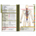 DOpocket® Osteopathic Edition